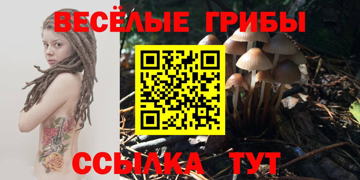 Псилоцибиновые грибы мицелий  Вход с VPN  Белореченск 