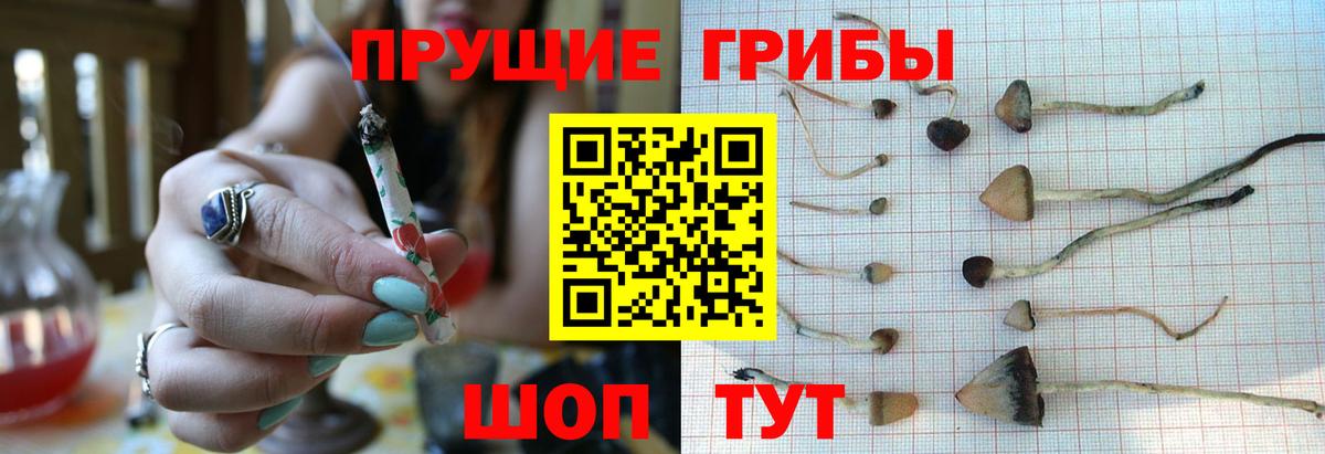 Псилоцибиновые грибы Magic Shrooms Белореченск